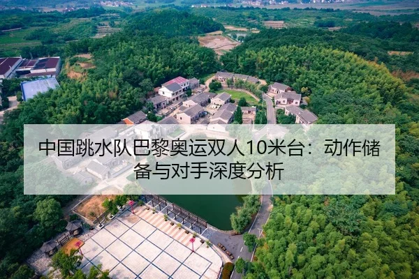中国跳水队巴黎奥运双人10米台：动作储备与对手深度分析