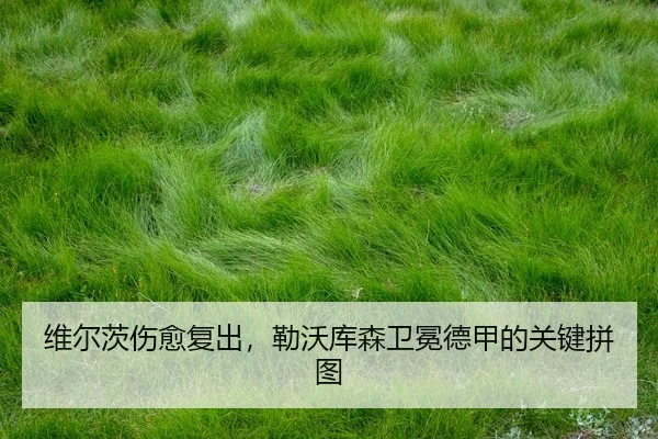 wei-er-ci-shang-yu-fu-chu-lei-wo-ku-sen-wei-mian-de-jia-de-guan-jian-pin-tu-3-646.jpg