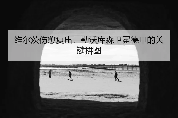 维尔茨伤愈复出，勒沃库森卫冕德甲的关键拼图