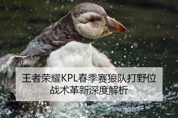 王者荣耀KPL春季赛狼队打野位战术革新深度解析