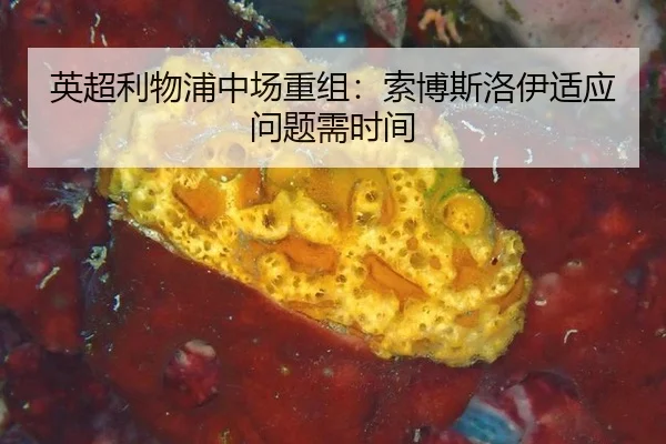 英超利物浦中场重组：索博斯洛伊适应问题需时间